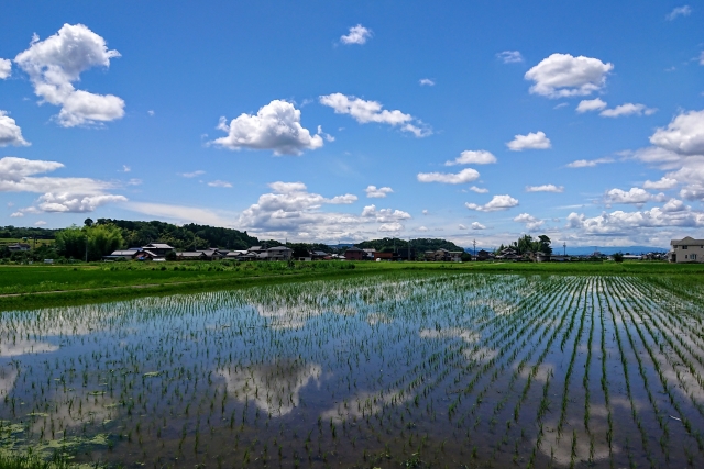 対象になる「農地」は？